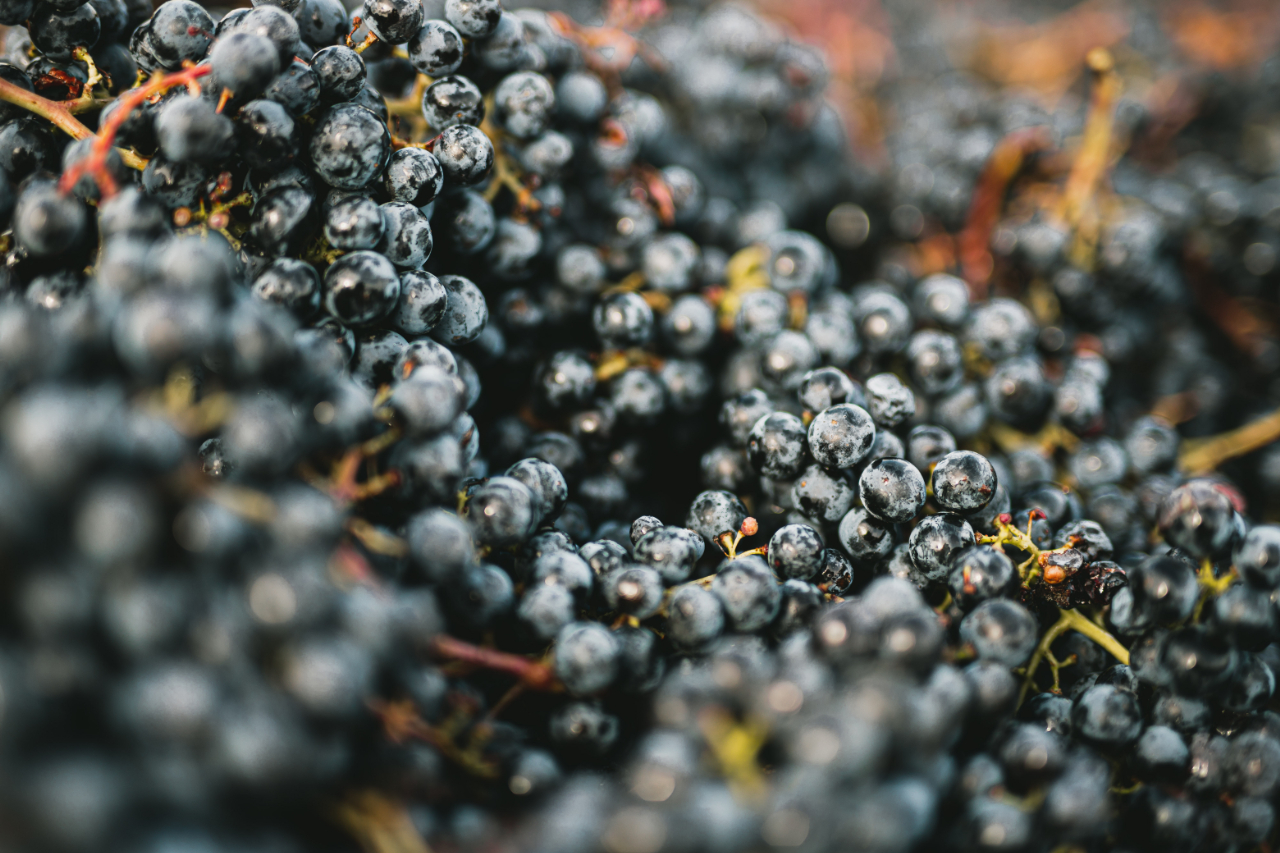 Maison Bouey｜ ヌーヴェル・セレクション Nouvelles Selections Inc